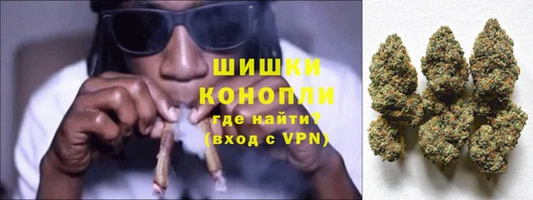 PSILOCYBIN Алзамай