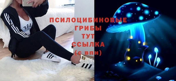 PSILOCYBIN Алексеевка