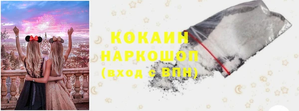 PSILOCYBIN Алзамай