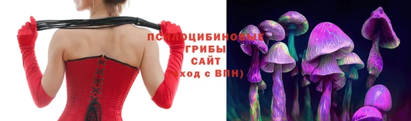 дживик Алексин