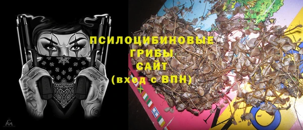 PSILOCYBIN Алзамай