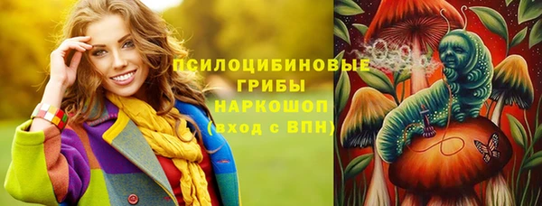 дживик Алексин