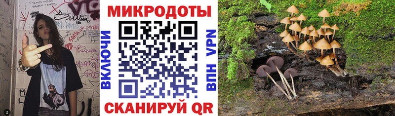 наркотики  Наволоки  Псилоцибиновые грибы MAGIC MUSHROOMS 